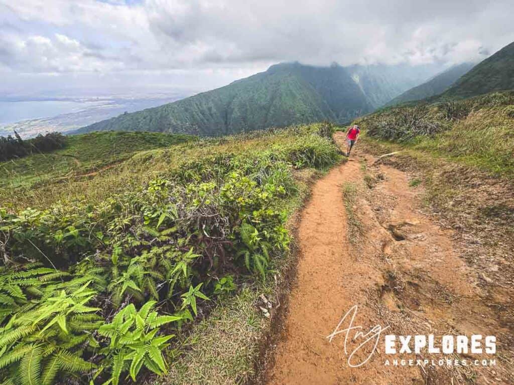 Nearing top of waihee ridge