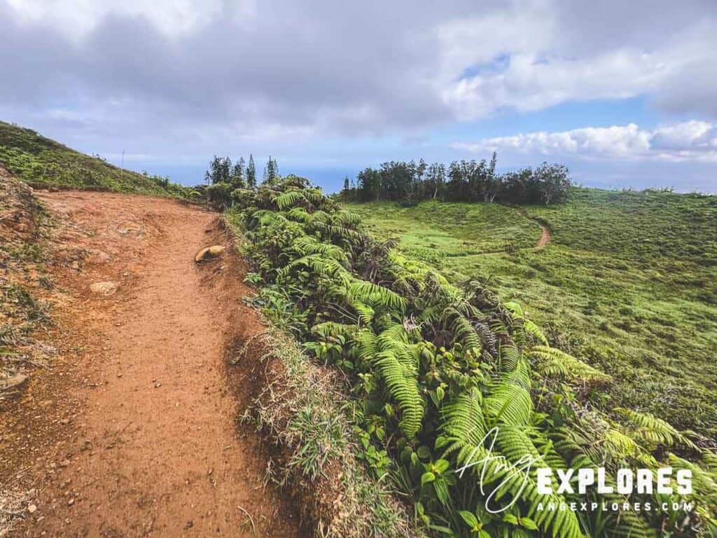Waihee ridge trail dirt