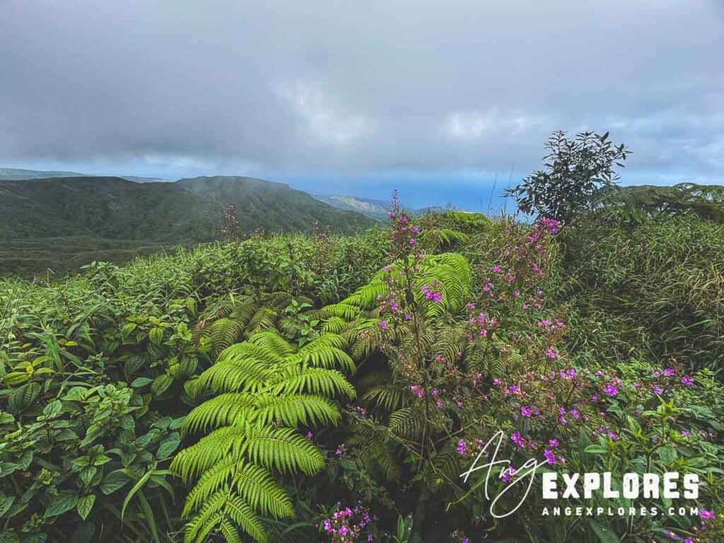 View from summit waihee ridge