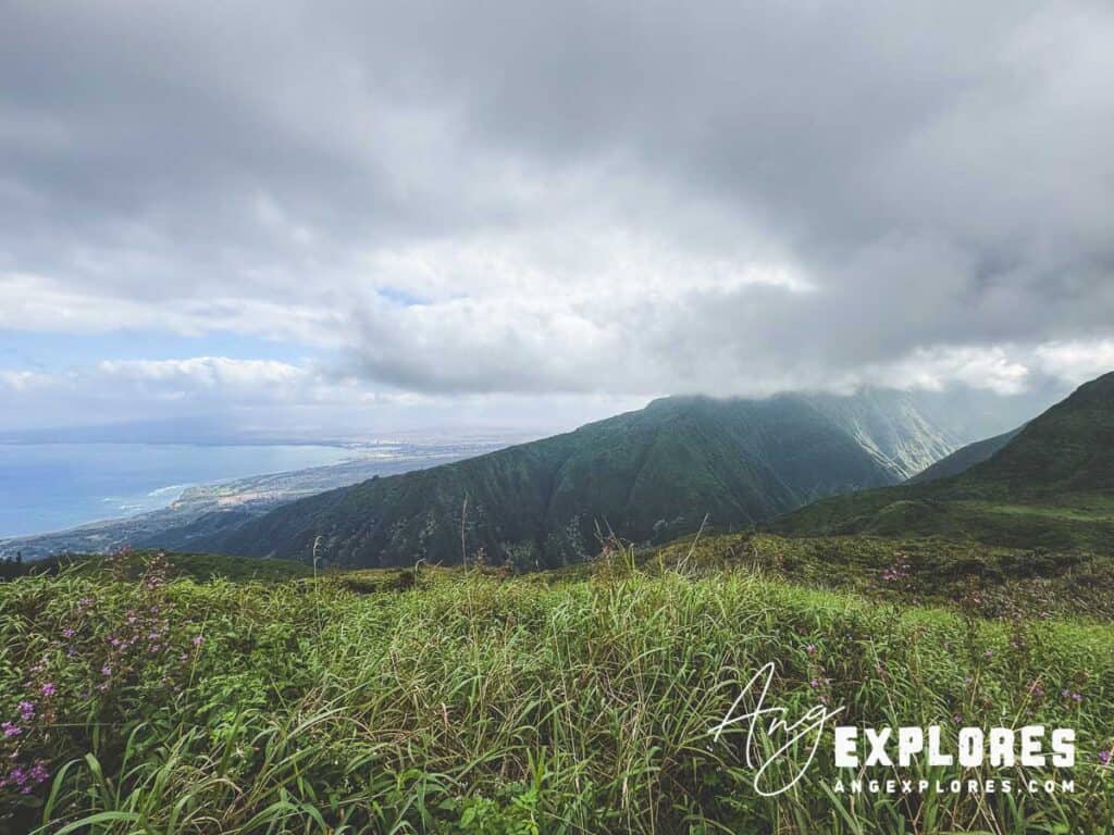 View from summit waihee ridge