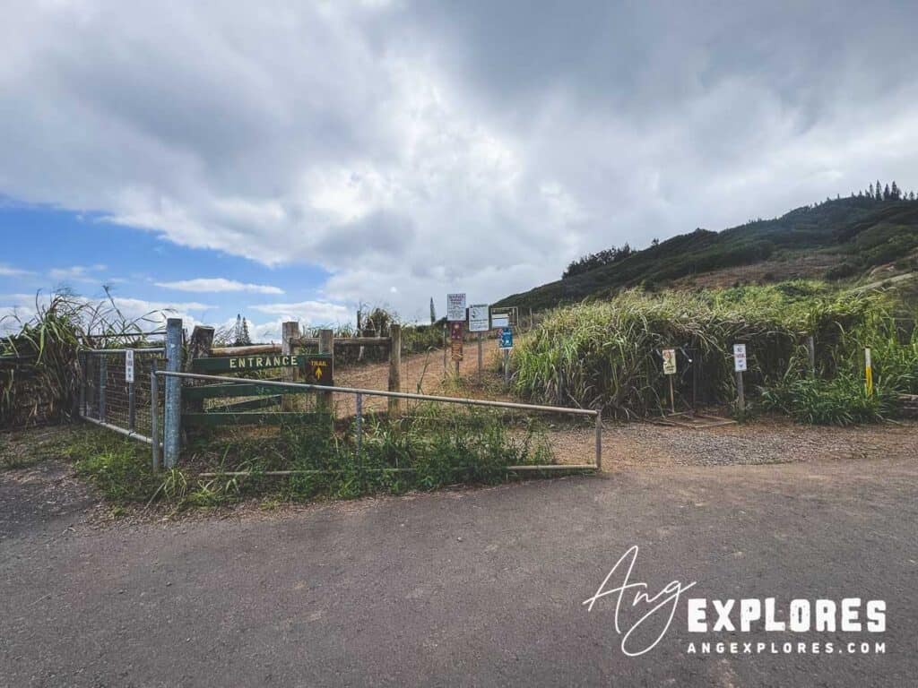 Waihe’e ridge trailhead