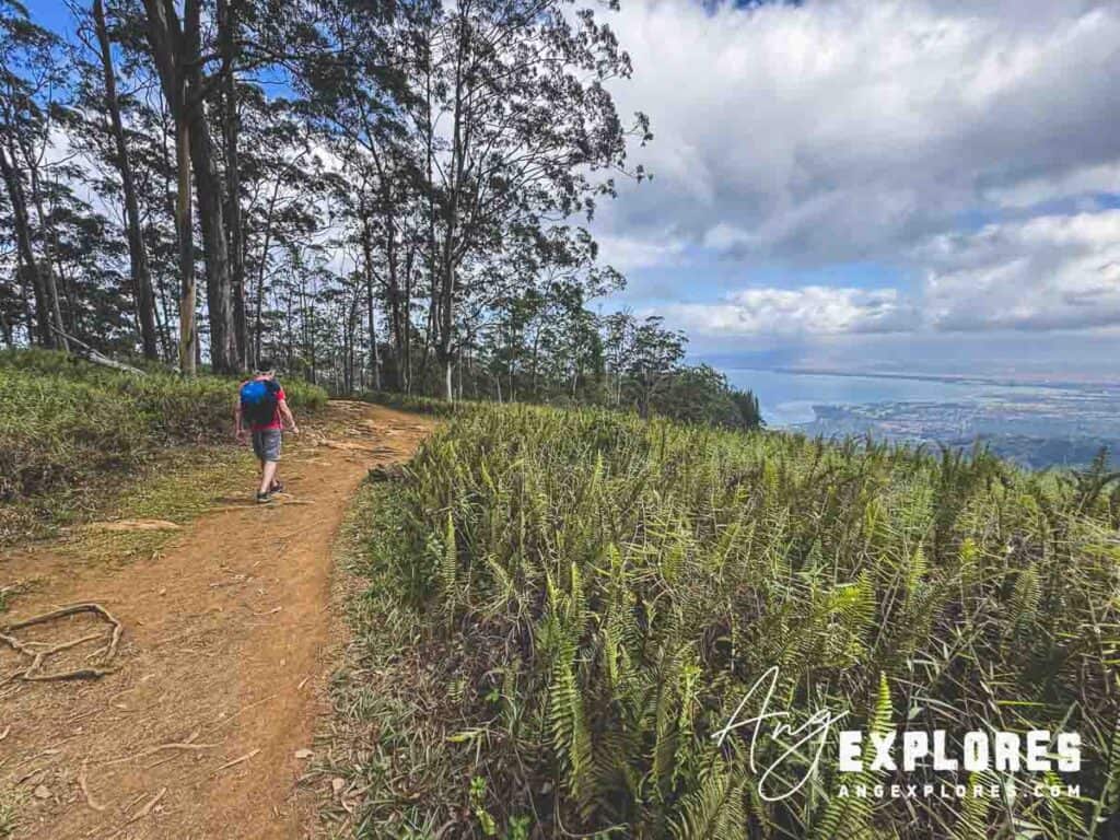 Hiker on waihe’e ridge trail