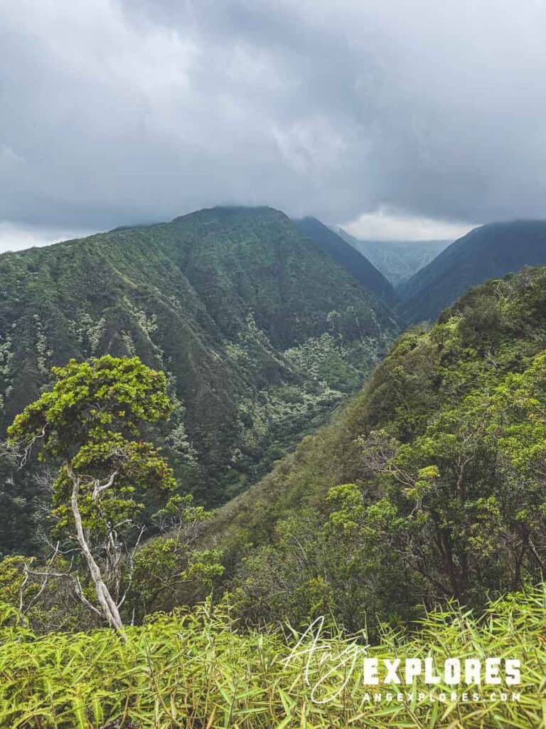 Waihee Valley