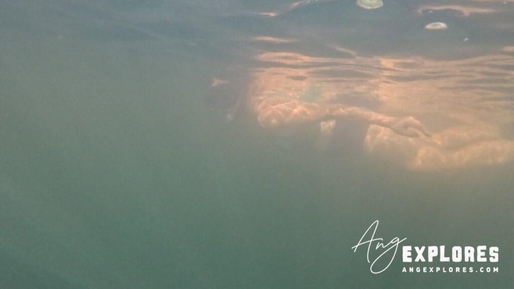 murky water in the afternoon at honolua bay