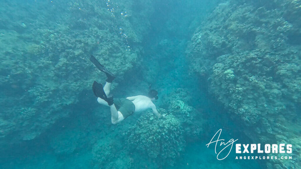 freediving at honolua bay