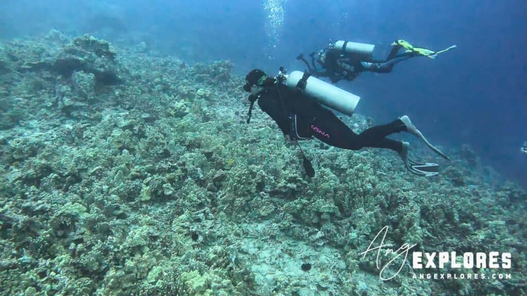 reef at garden eel cove big island