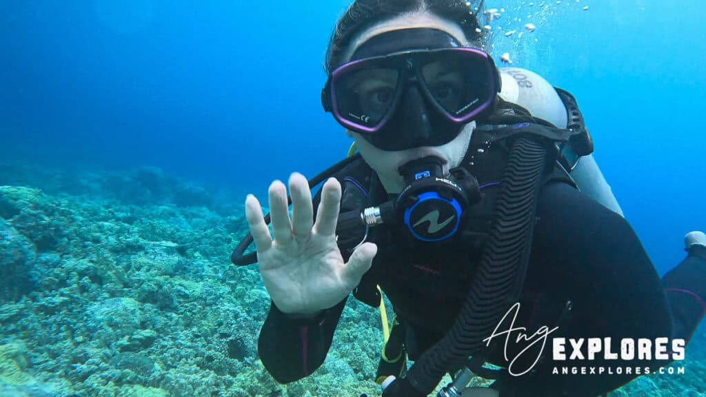 scuba diver at garden eel cove
