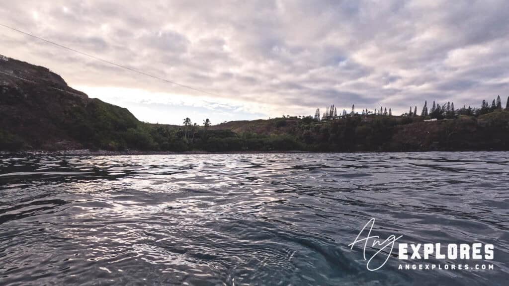 view from middle of honolua bay
