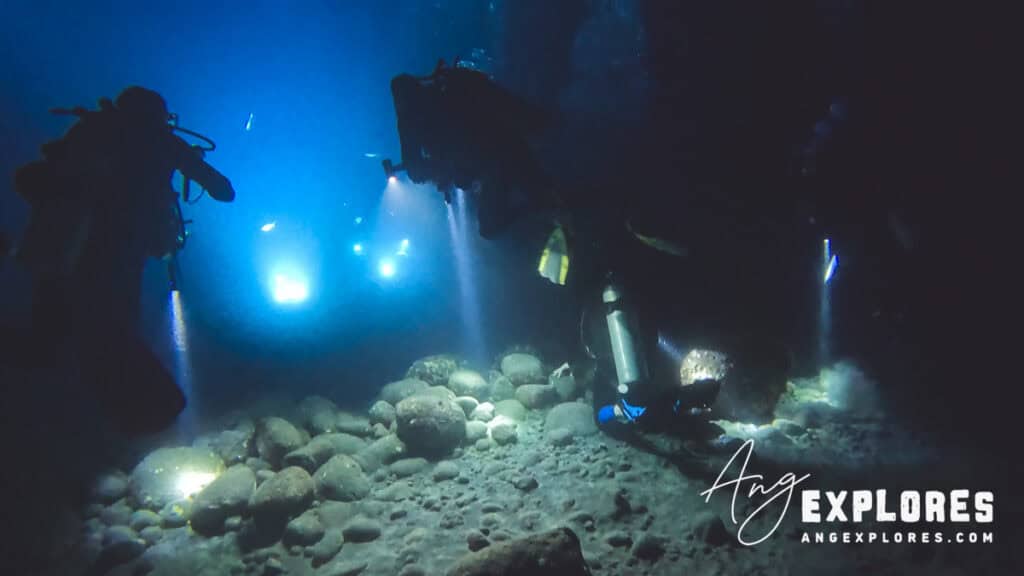 divers at kona manta site