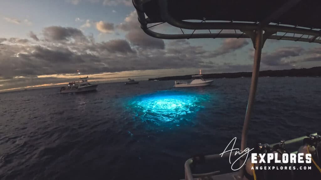 kona manta dive underwater light
