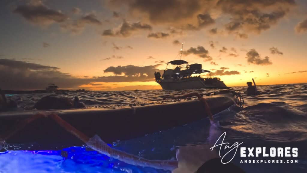 manta ray snorkel tour kona