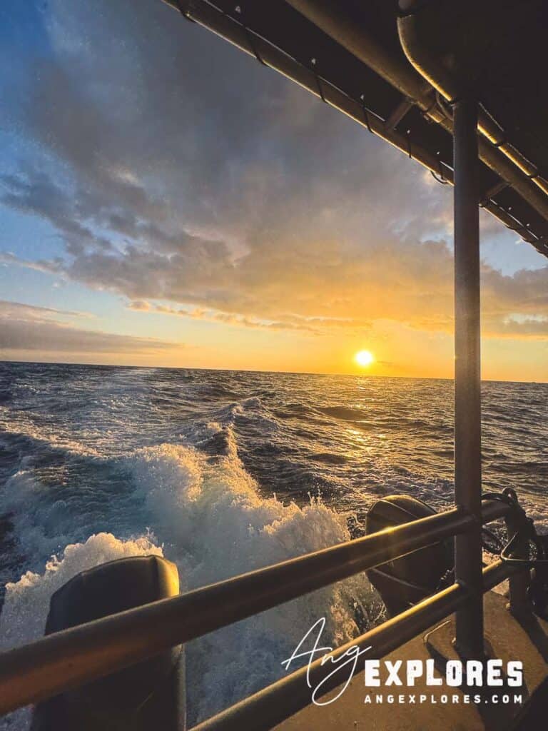 boat sunset on way to manta ray tour