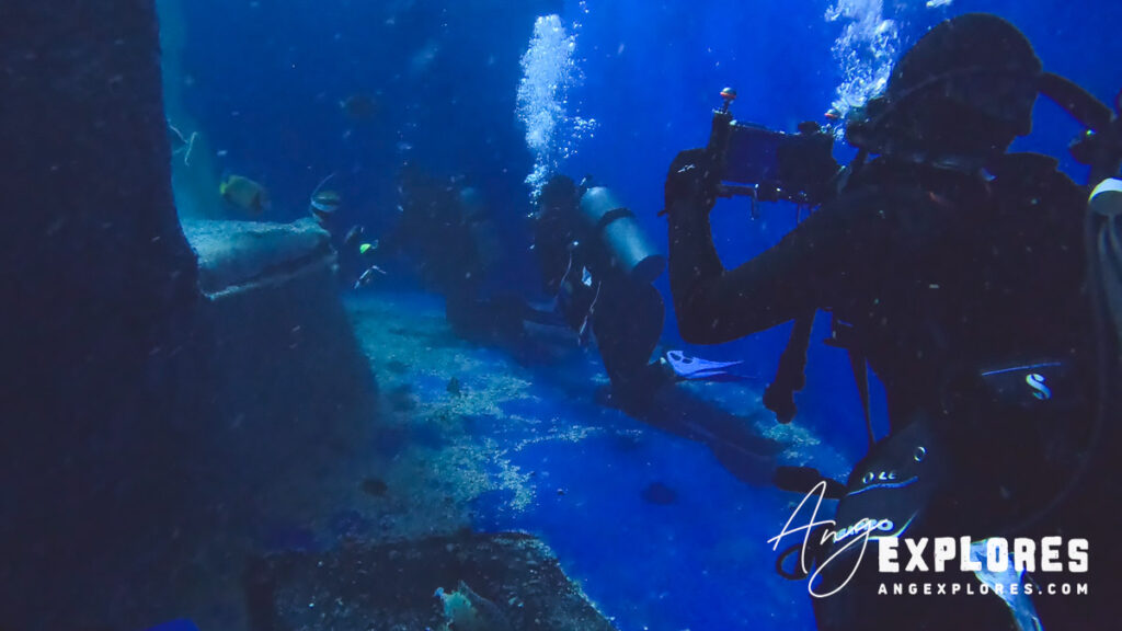 dive path at denver aquarium