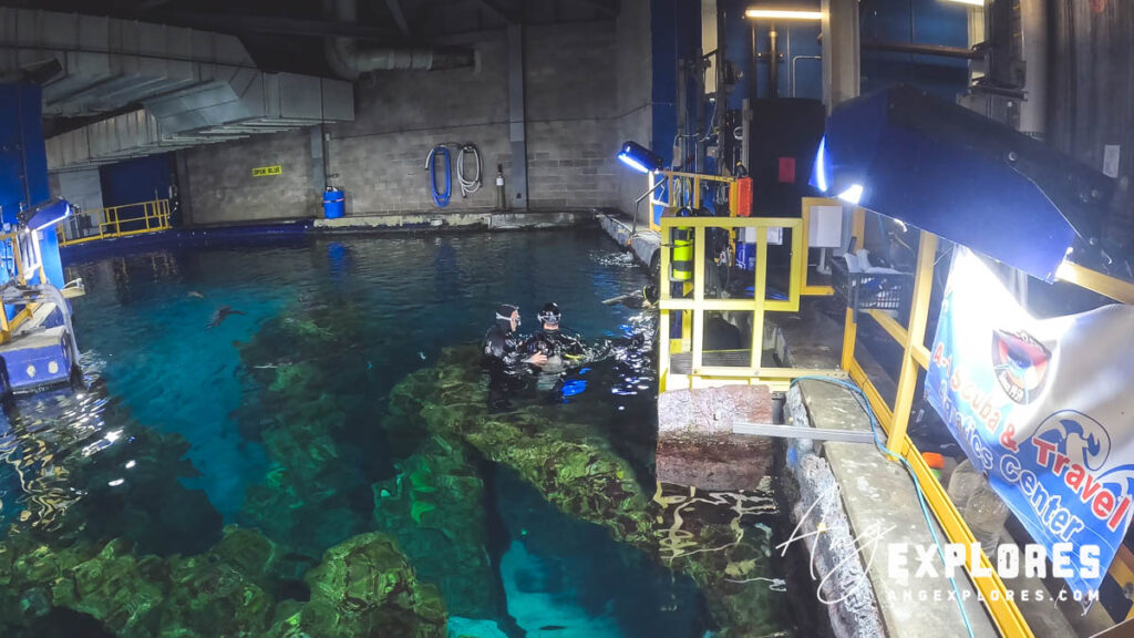 skills check before shark dive