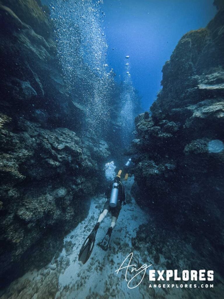 belize diving underwater landscape