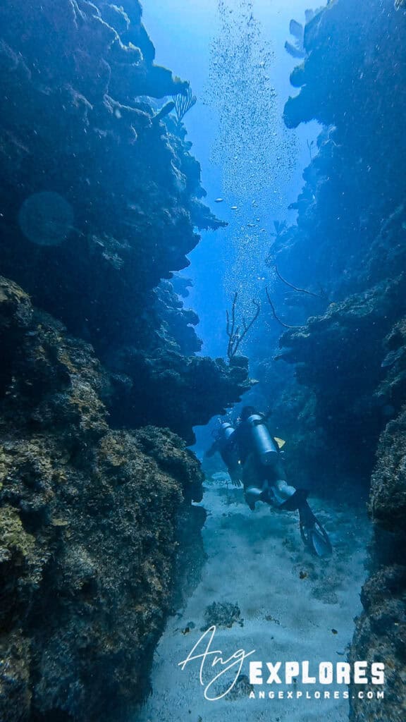 narrow canyon in belize dive