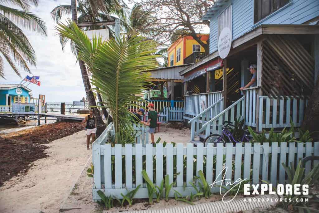location of belize chocolate company chocolate class
