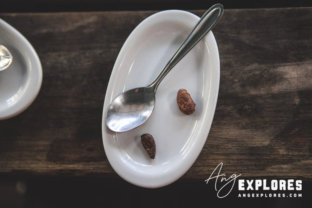 cocoa bean sampling