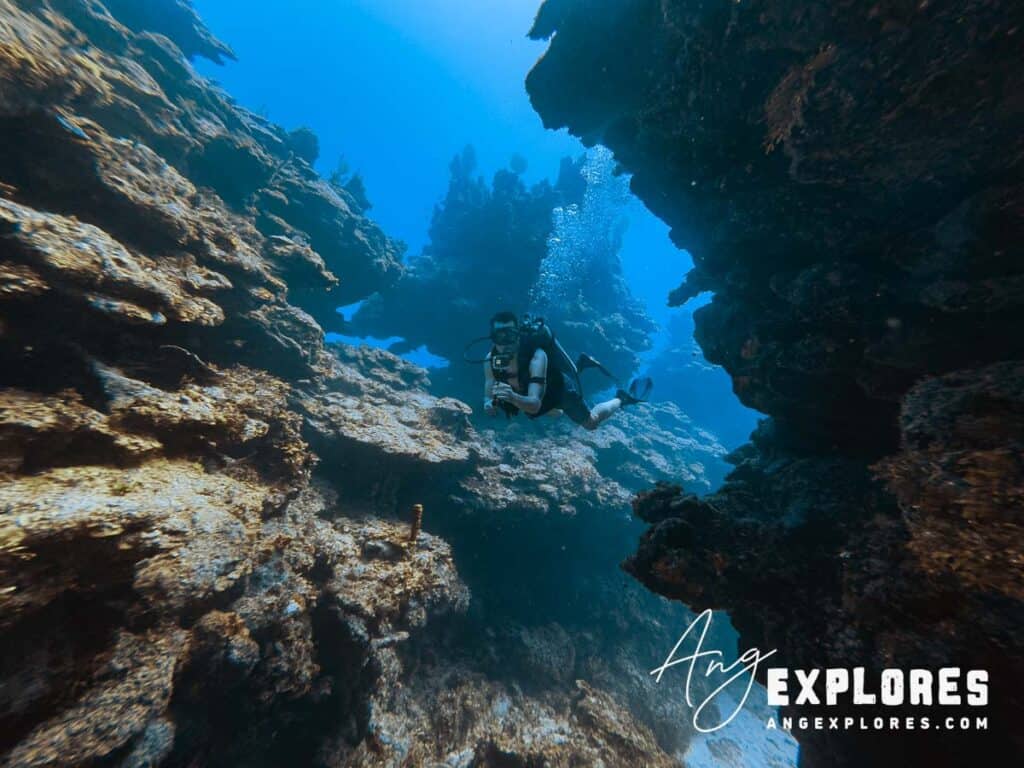 diving in belize