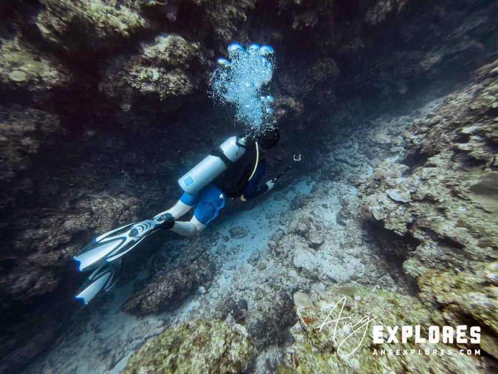 scuba diver in belize, view from above