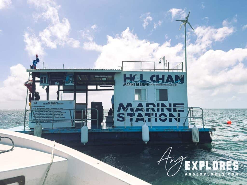 hol chan marine station