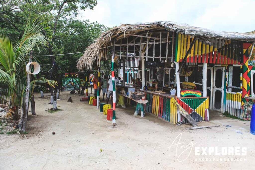 iguana sanctuary in san pedro ambergris caye