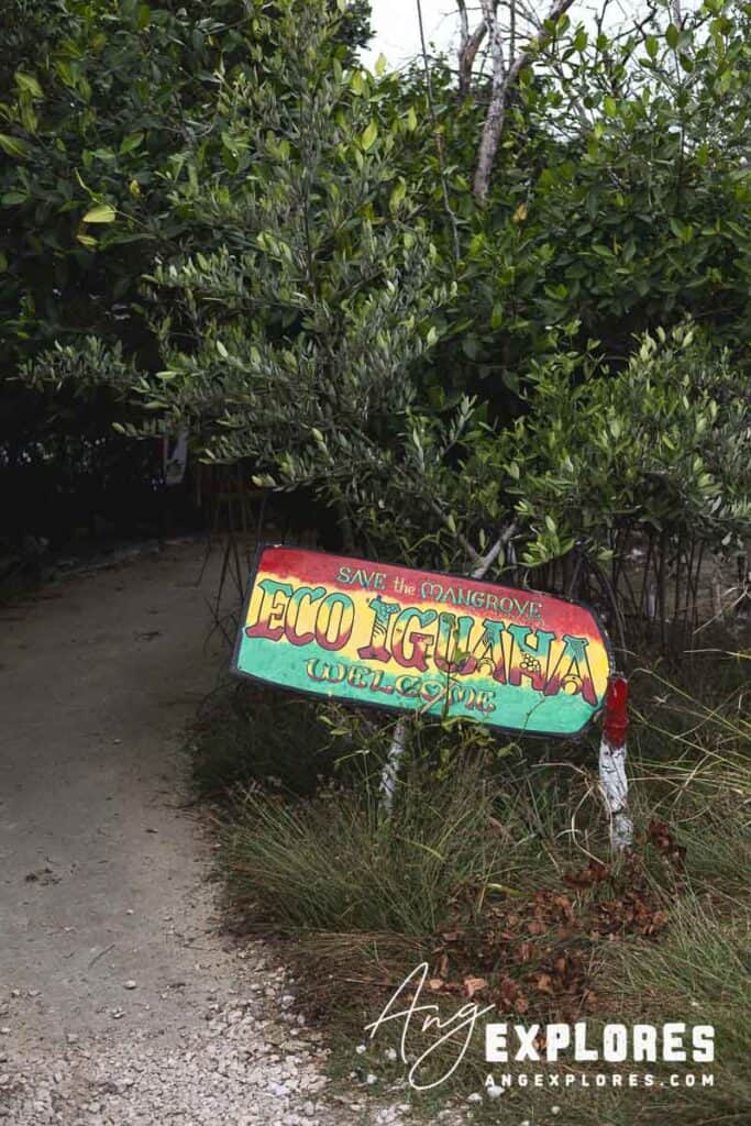 iguana sanctuary sign in san pedro belize