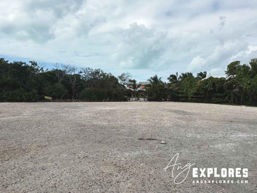 iguana sanctuary in san pedro how to get there