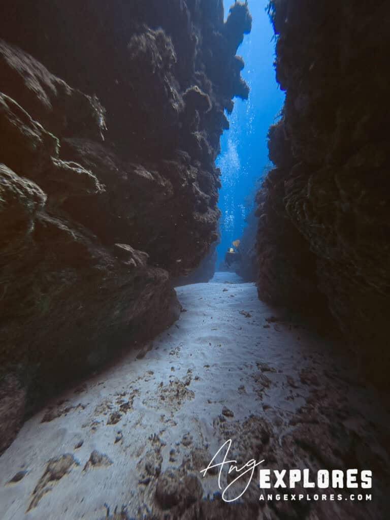 diving the chimney in belize