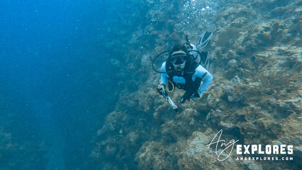 scuba diving in Belize - Ang Explores