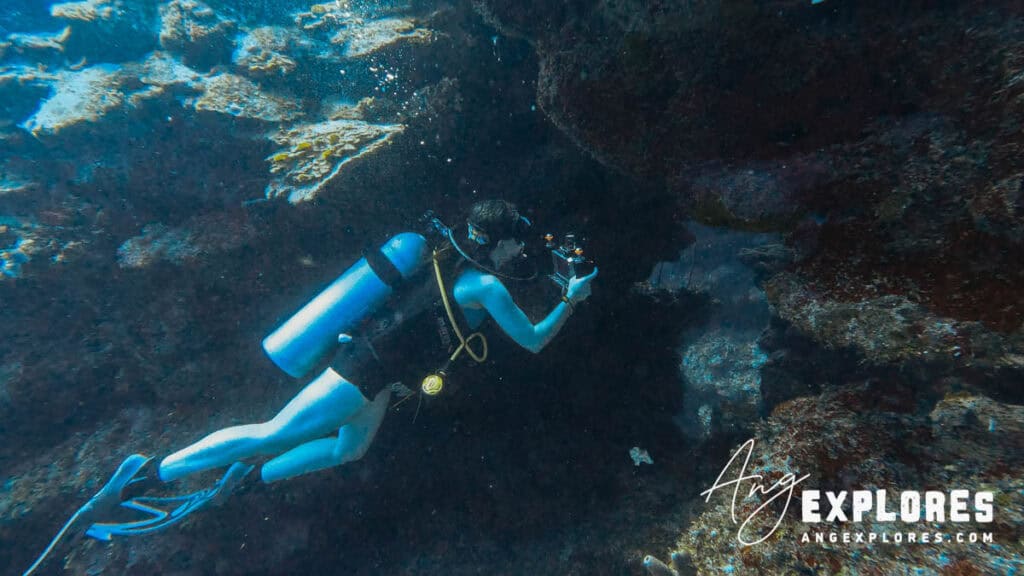 scuba diving belize