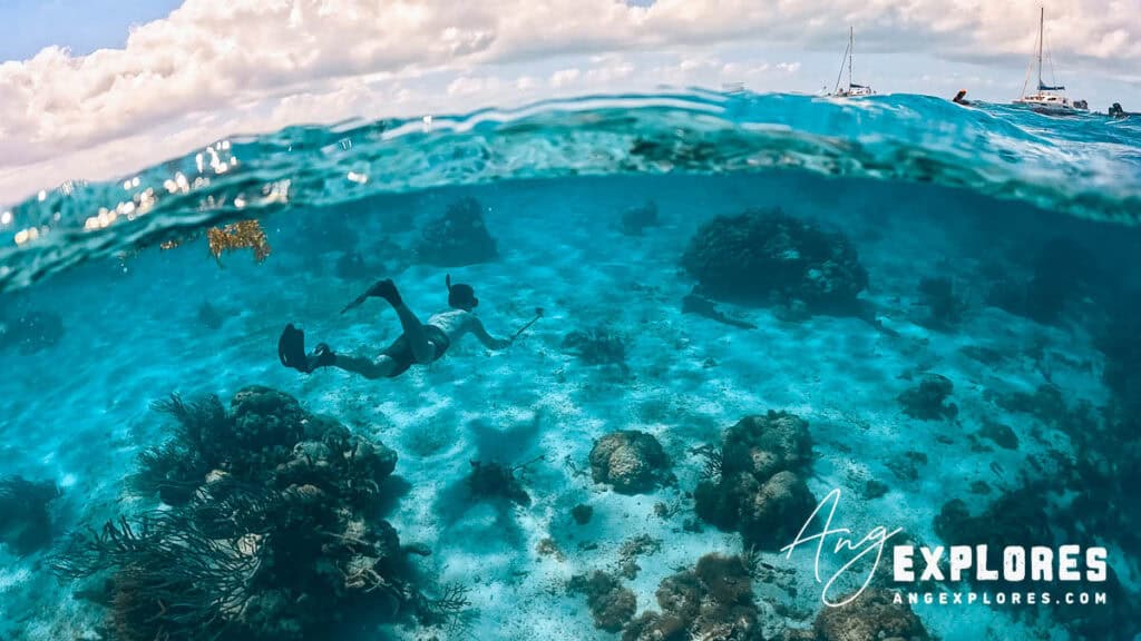 snorkeler underwater at hol chan, belize