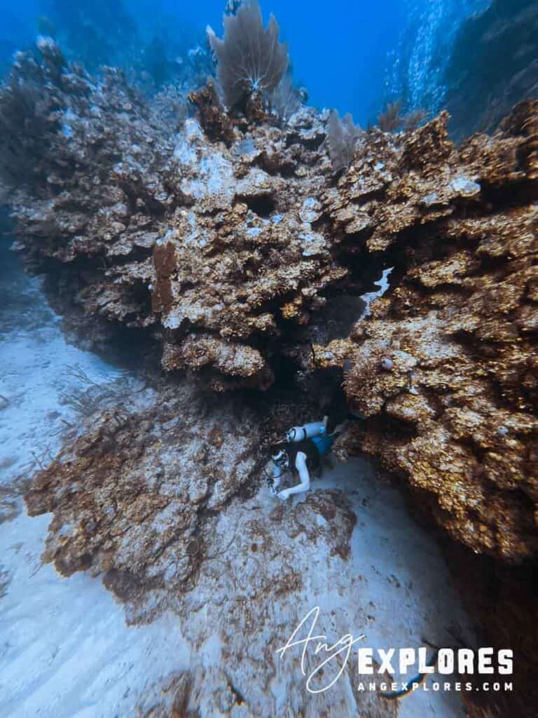 scuba diving swim through in belize