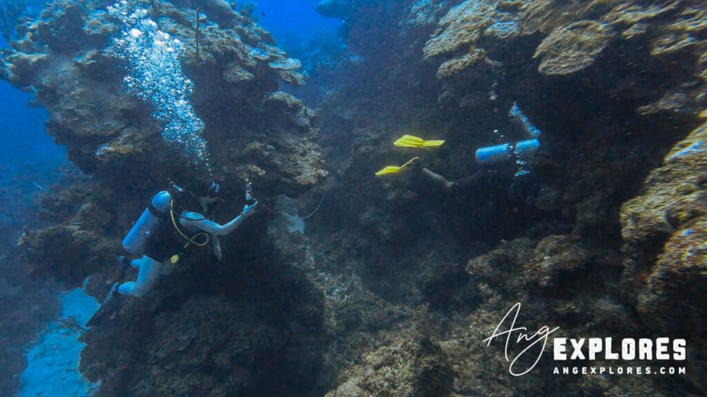 belize scuba dive