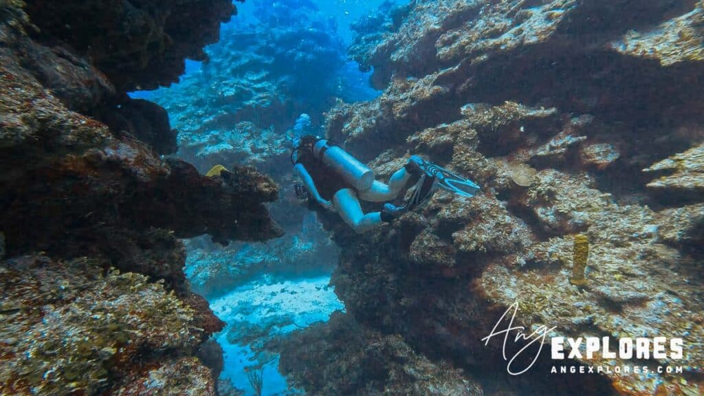 diving in ambergris caye