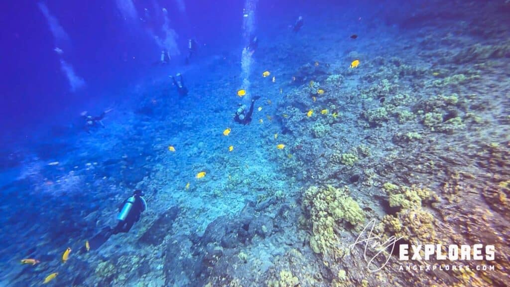 scuba divers at molokini crater