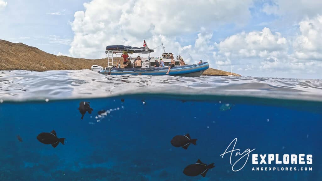 blue water rafting tour at molokini crater 