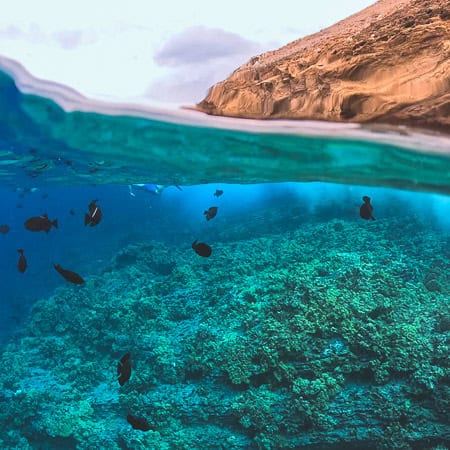 Molokini Crater Maui Snorkeling