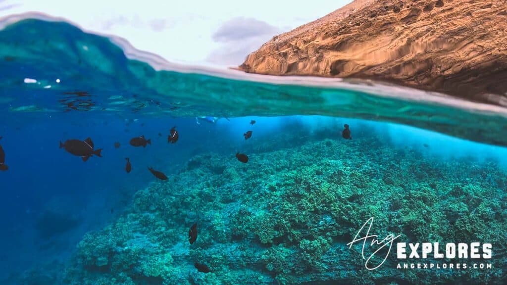 Molokini Crater snorkeling Maui