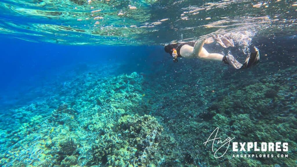 Molokini crater in November