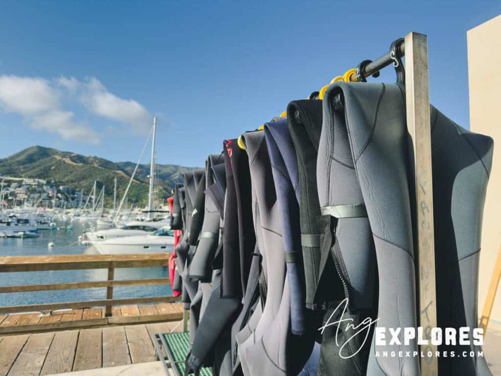 wetsuits at catalina divers supply