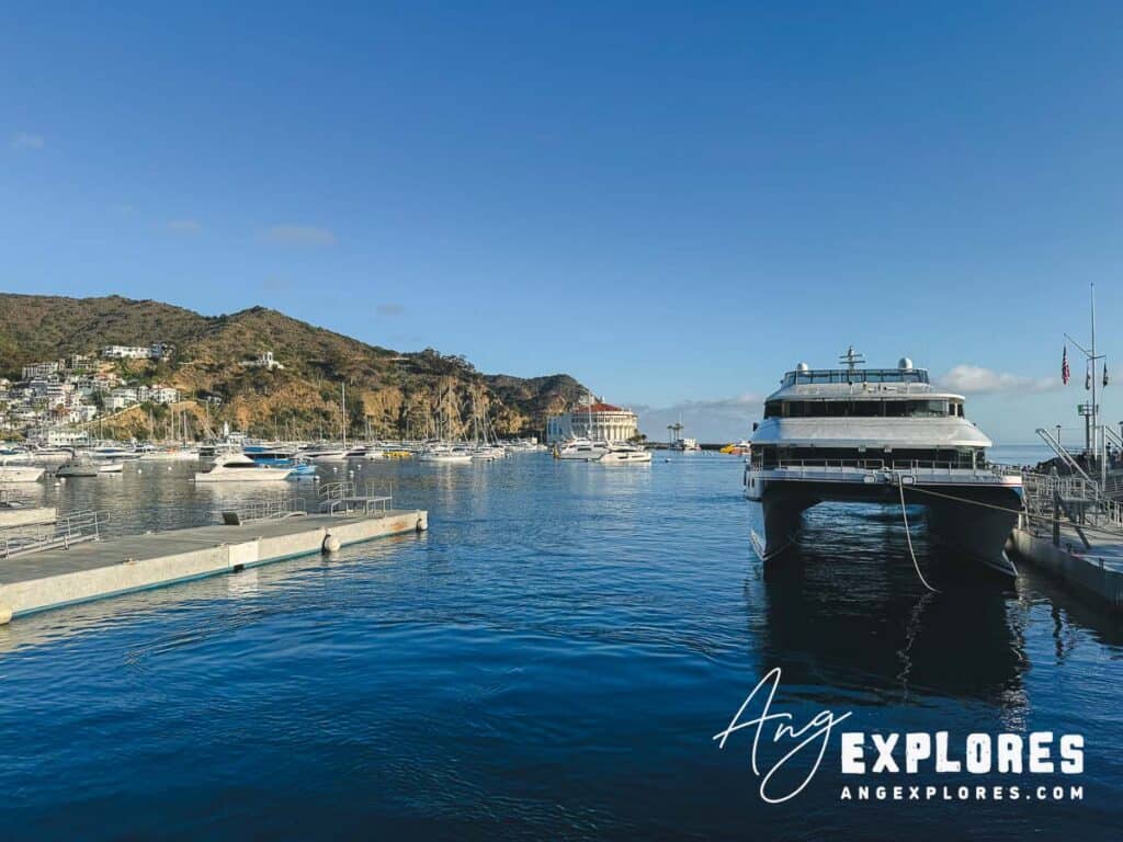 ferry docked in avalon harbor