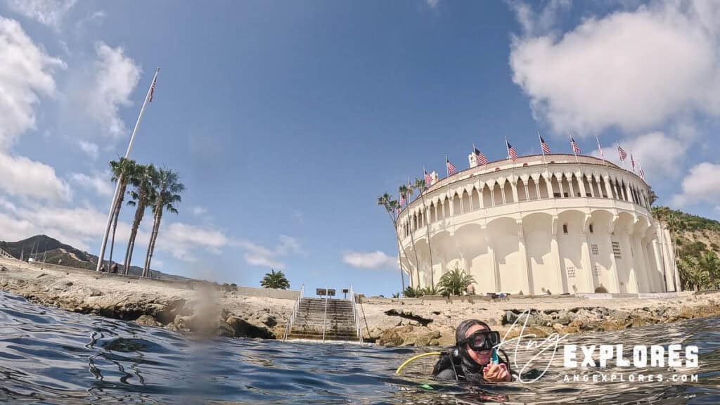 scuba diver at casino point dive park, catalina island 