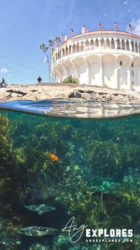 garibaldi and bass at casino point