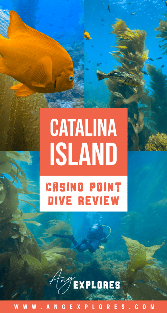 Catalina Island - Casino Point Dive Review by AngExplores.com